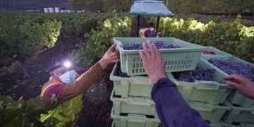 미 인플레 우려 잦아드나…2월 PPI 예상 깨고 0.1% ‘하락’