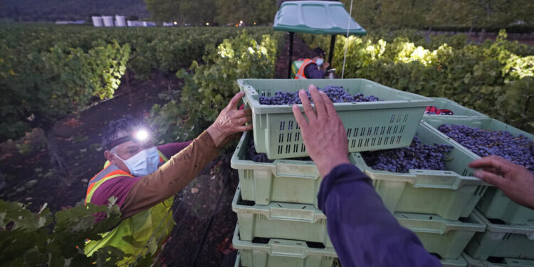 미 인플레 우려 잦아드나…2월 PPI 예상 깨고 0.1% ‘하락’
