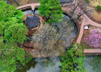 맛집 옆에 맛집… 노포에 반하다, 영주와 나