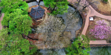 맛집 옆에 맛집… 노포에 반하다, 영주와 나