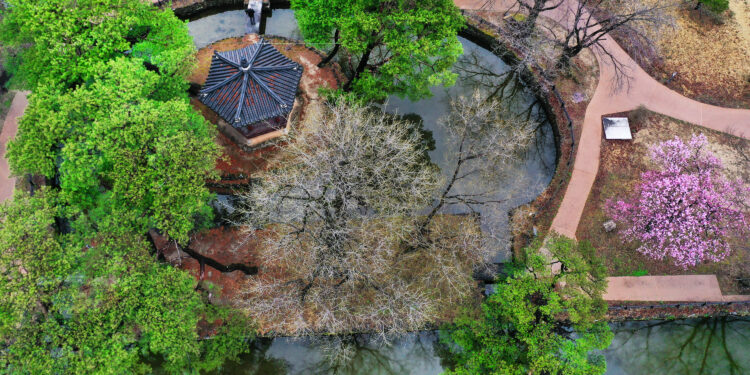 맛집 옆에 맛집… 노포에 반하다, 영주와 나