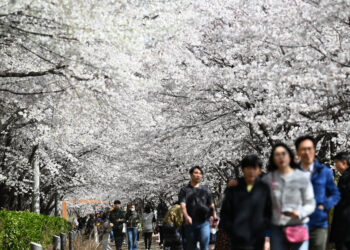 나들이철 ‘호캉스’ 예약 하늘에 별 따기…조선호텔·신라스테이 등 객실 할인 판매