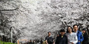 나들이철 ‘호캉스’ 예약 하늘에 별 따기…조선호텔·신라스테이 등 객실 할인 판매