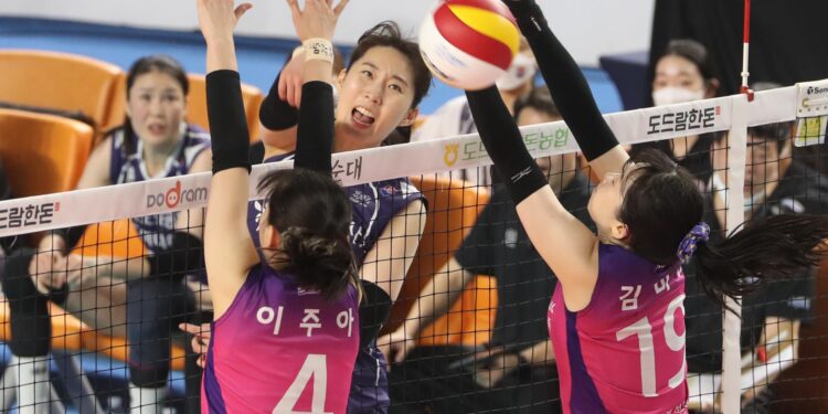 살아난 ‘클러치 박’… 기사회생 도로공사