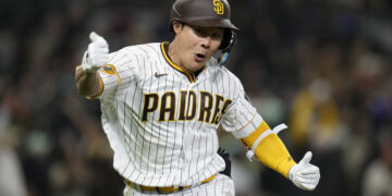 끝내준 하성 킴 | 서울신문