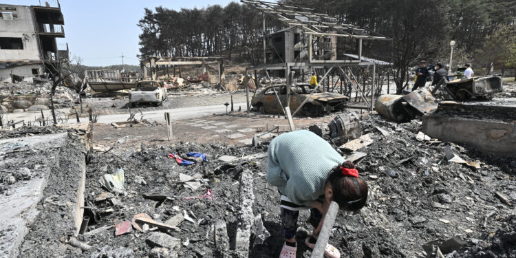 심리 상담·커피 나눔… 쏟아진 온정이 ‘잿빛 상처’ 끌어안았다