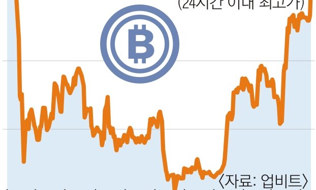 비트코인 80% 이상 급등… “긴축완화 기대·대체자산 인식 영향”