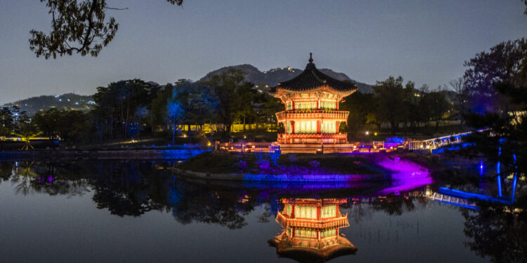 별빛에 취한 경복궁의 봄