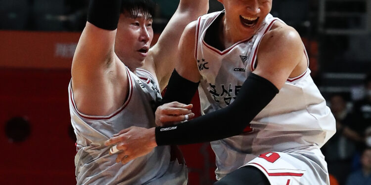 인삼의 힘… 올해도 챔프전 ‘KGC 대 SK’