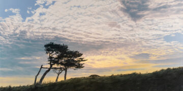 캔버스 위 ‘강운의 구름’… 그 시절 내가 떠올랐다