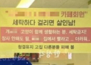 “걸리면 살인남” 고양이 빨래에 분노한 코인세탁소 주인