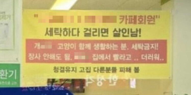 “걸리면 살인남” 고양이 빨래에 분노한 코인세탁소 주인