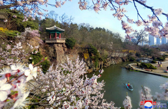 [포토] 평양의 봄
