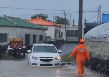 62년만에… 서귀포 하루 강수량 5월 역대 기록 중 1위