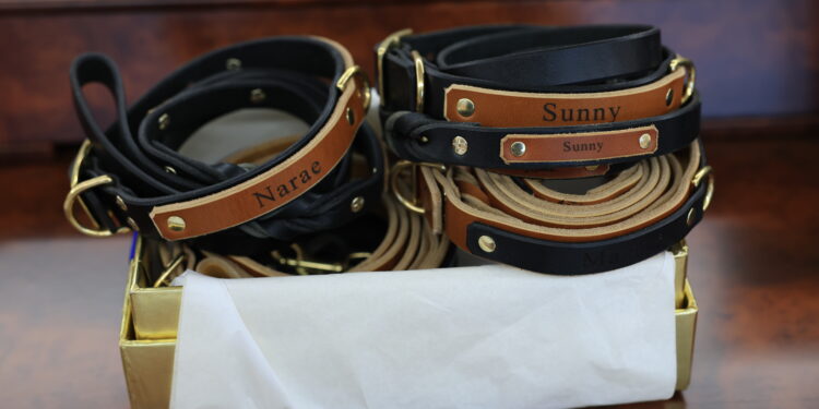 산책용 줄엔 ‘써니·새롬이’ 이름까지… 尹대통령 부부 ‘국빈방미 선물’ 공개