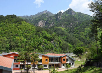 하늘 닿은 천상의 화원에서 걷고 쉬고 시나브로 물들다