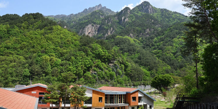 하늘 닿은 천상의 화원에서 걷고 쉬고 시나브로 물들다