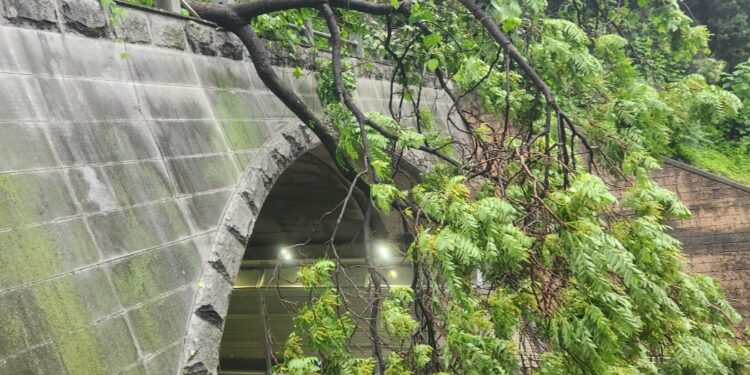 연휴 동안 200mm 장대비…침수·붕괴 사고 잇따라