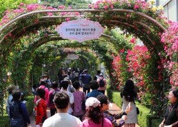 [포토] 천만송이 장미 대향연