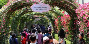 [포토] 천만송이 장미 대향연