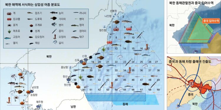 잃어버린 바다, 북한의 바다, 인정사정없는 중·러 ‘경쟁의 바다’[양희철의 新해양시대론-바다를 읽는 코드]