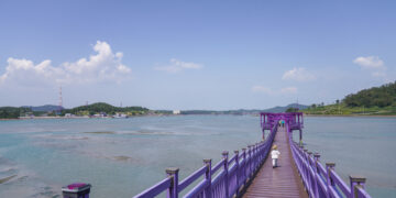 915m 보랏빛 세상을 걷다…1004m 무한의 세상을 걷다[권다현의 童行(동행)]