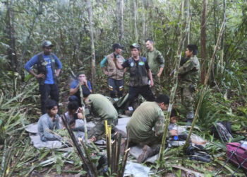 아마존 40일의 기적… 13세 큰누나 생존본능, 세 동생까지 살렸다