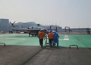 12층서 추락한 3세 아이 ‘무사’…“나무가 충격 완화”