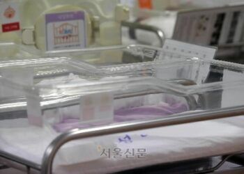 출생 미신고 영아 23명 중 사망·유기 2건 더 있었다