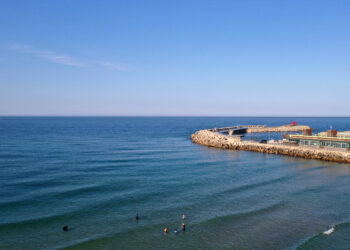 [속보] 강릉 실종 50대 여성 일본서 주검으로 발견