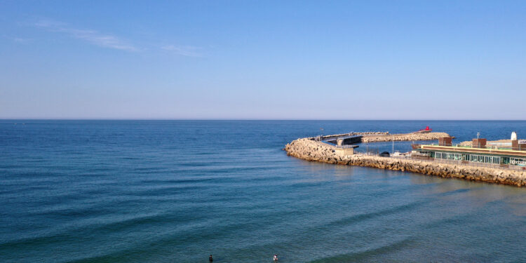 [속보] 강릉 실종 50대 여성 일본서 주검으로 발견