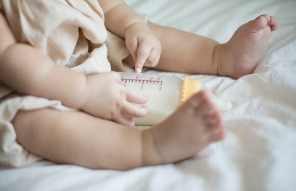 익산 9자녀 가족, 32평 아파트 간다… 10년 무상 임대