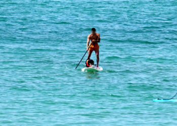 [포토] 푸른바다 나들이 | 서울신문