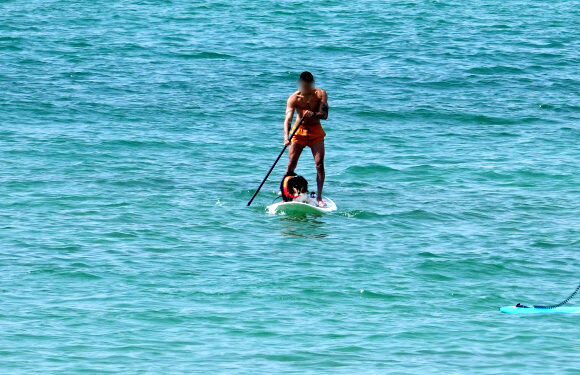 [포토] 푸른바다 나들이 | 서울신문