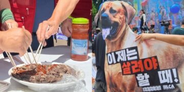 “개 식용 그만!” 외치자…보란 듯 개고기 시식 “당당하게 먹자”