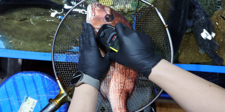 홍콩 “후쿠시마 오염수 방류시 日 수산물 수입 안한다” 경고