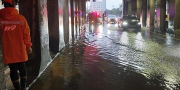 “주말 아침 연락은 민폐” “실책 추궁당할라”… 윗선 보고 막는 불통[되풀이되는 참사 이대로는 안된다]