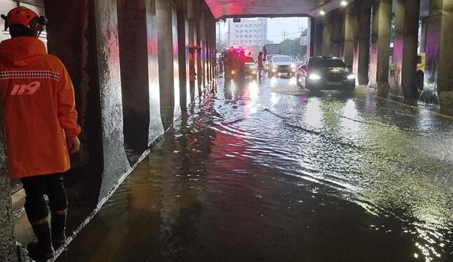 “주말 아침 연락은 민폐” “실책 추궁당할라”… 윗선 보고 막는 불통[되풀이되는 참사 이대로는 안된다]