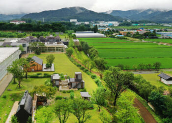 초록이 세상, 잔잔한 치유… 문화에 푹 빠지다