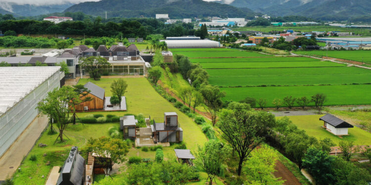 초록이 세상, 잔잔한 치유… 문화에 푹 빠지다