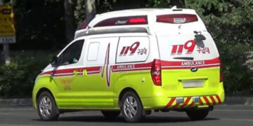 진도서 진돗개에 4세 아이 얼굴 물려 병원행