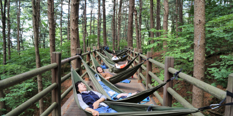 ‘임(林)’ 곁에 쉬련다