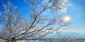 [포토] 평창 발왕산 ‘상고대 활짝’