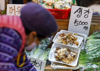 [속보] 11월 물가 상승률 3.3% ‘상승 폭 둔화’… 신선식품은 12.7% ‘고공행진’