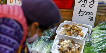 [속보] 11월 물가 상승률 3.3% ‘상승 폭 둔화’… 신선식품은 12.7% ‘고공행진’