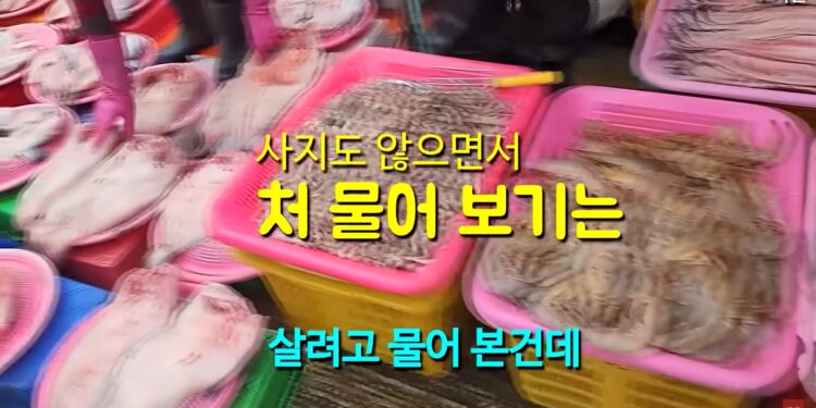 “사지도 않으면서 처물어보기는”…소래포구 간 유튜버 봉변