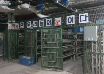 “오늘도 살아돌아갈 수 있을까” 광부의 피땀, 기억으로 남는다