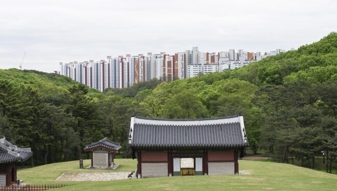 김포 ‘왕릉뷰 아파트’ 공사중지 소송…건설사 손든 대법원