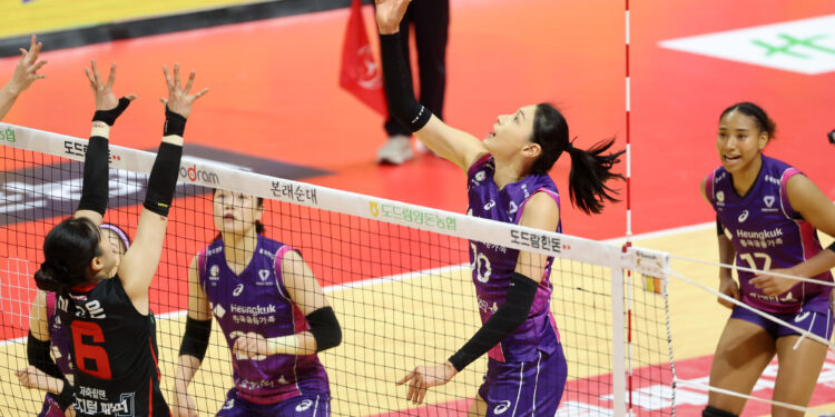 ‘27득점’ 김연경 앞에 무너진 페퍼… 14연패 수렁