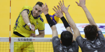 비예나 친정에 悲 | 서울신문